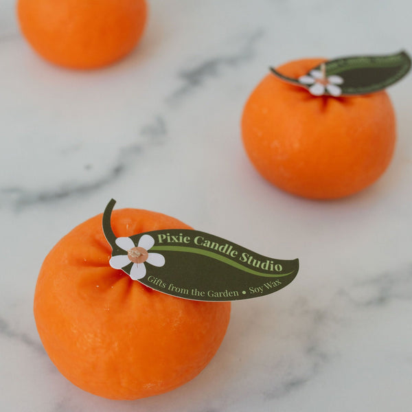 shopojai_saraprince-25_600x.