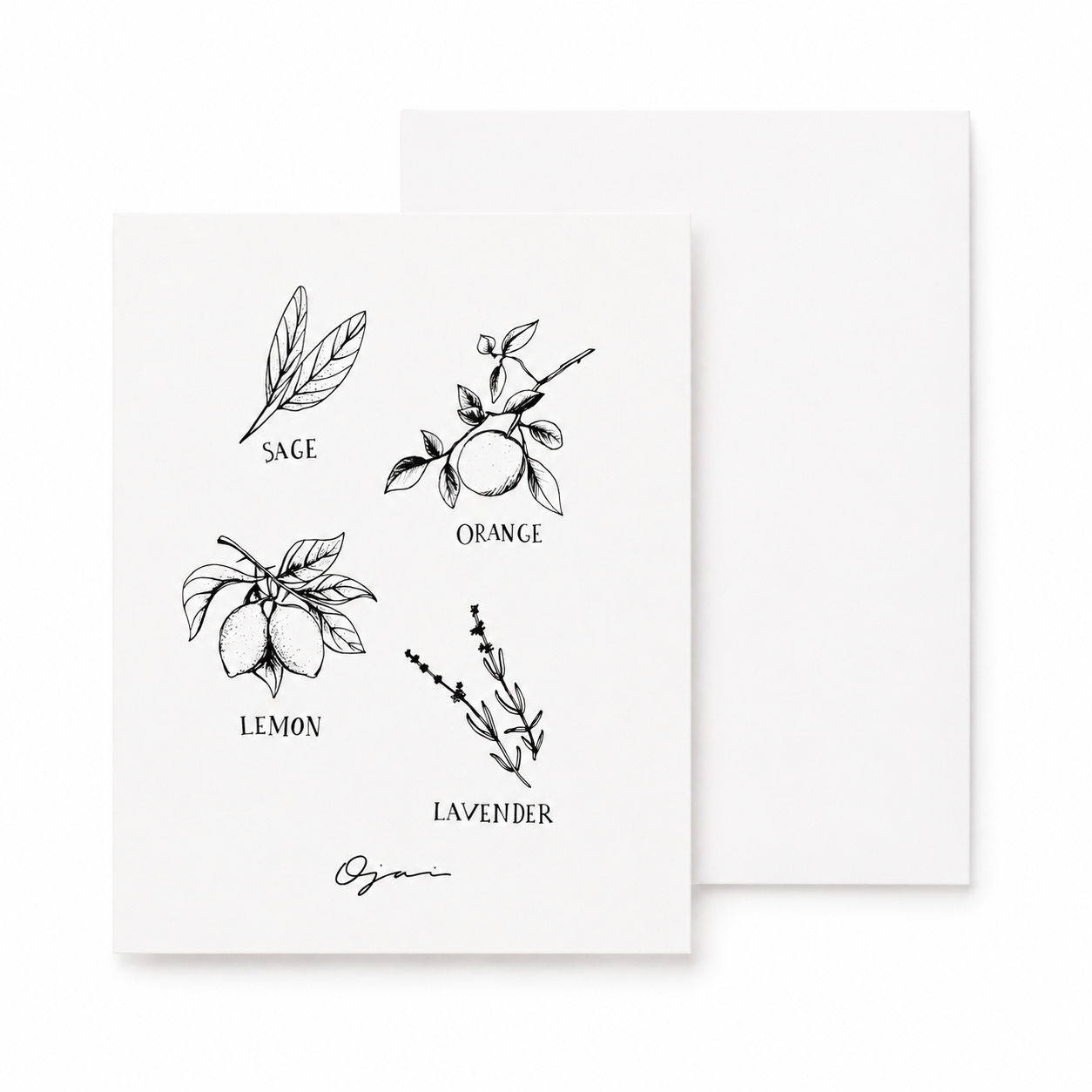Ojai Greeting Card Citrus & Herb