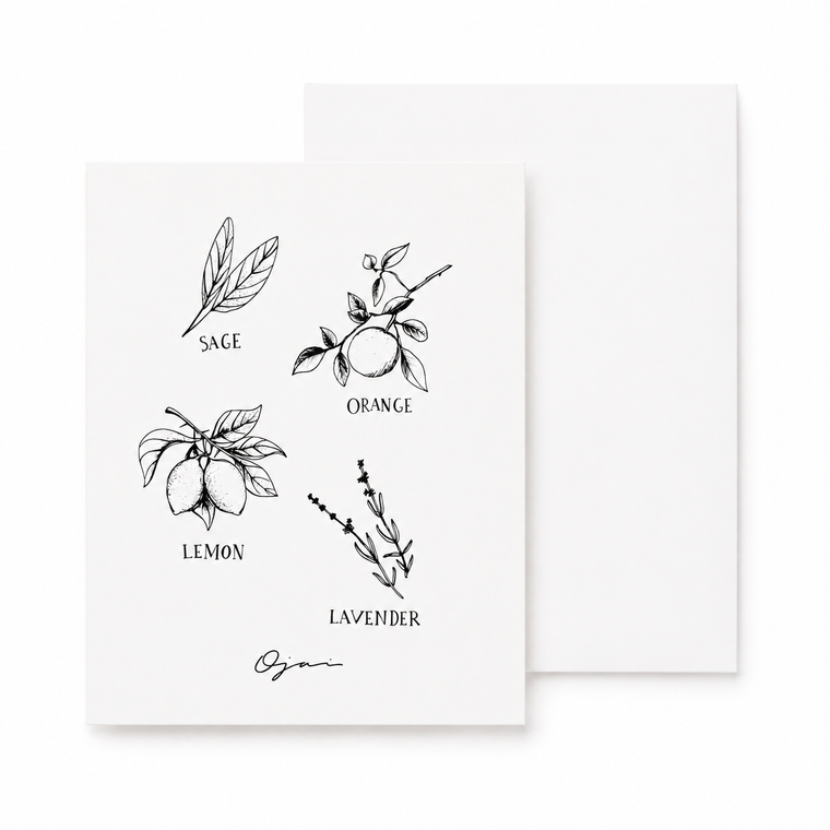 Ojai Greeting Card Citrus & Herb