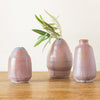 Olivella Bud Vase